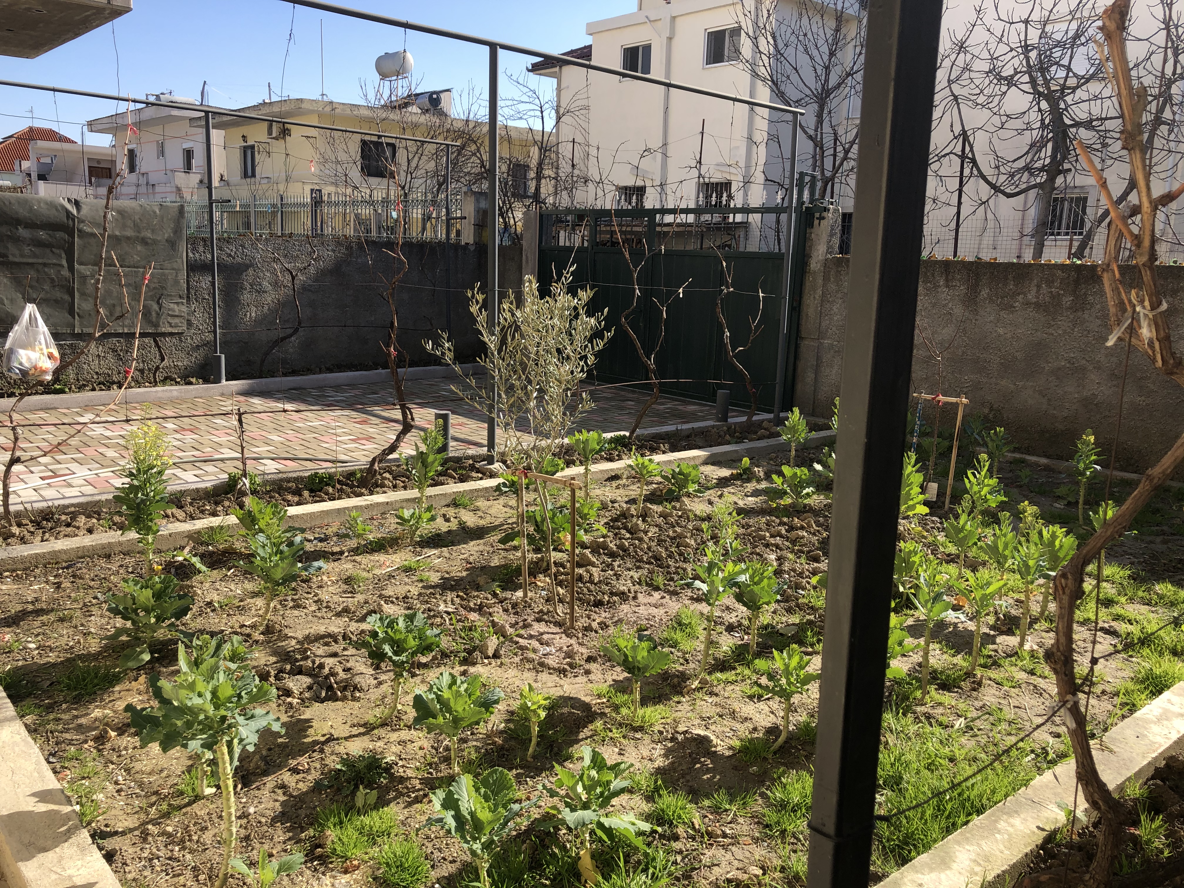 Houses for sale 3-storey near kuq kryq, durres!