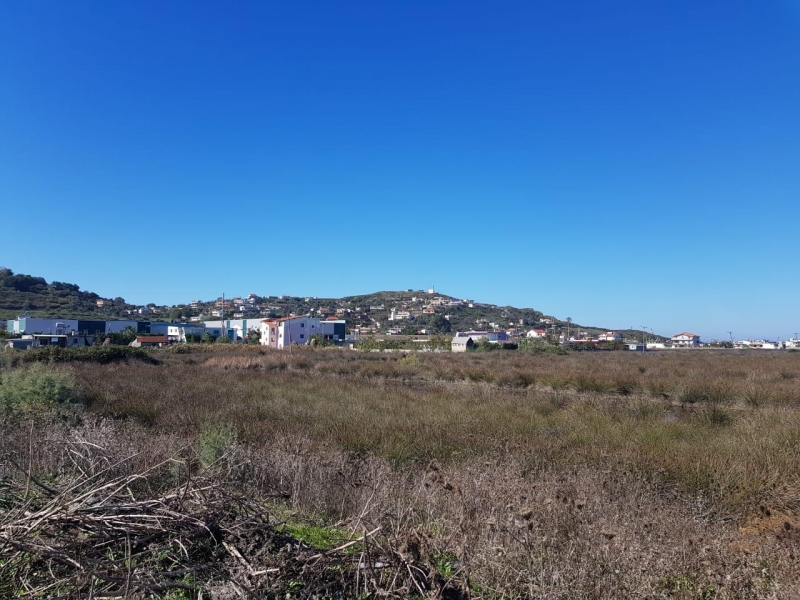 SHITET TOKE NE PORTOROMANO, DURRES.