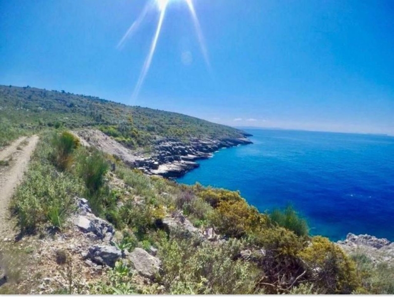 TOKE PER SHITJE BUZE DETIT, LLAMAN, HIMARE, VLORE.