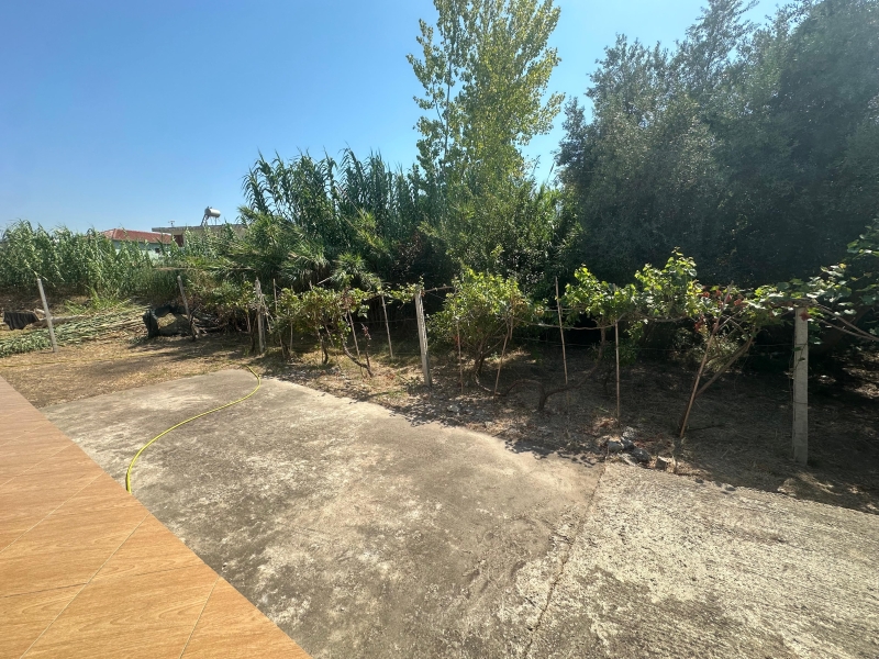 SHITET SHTEPI PRIVATE, SHKOZET, DURRES. thumbnail 5