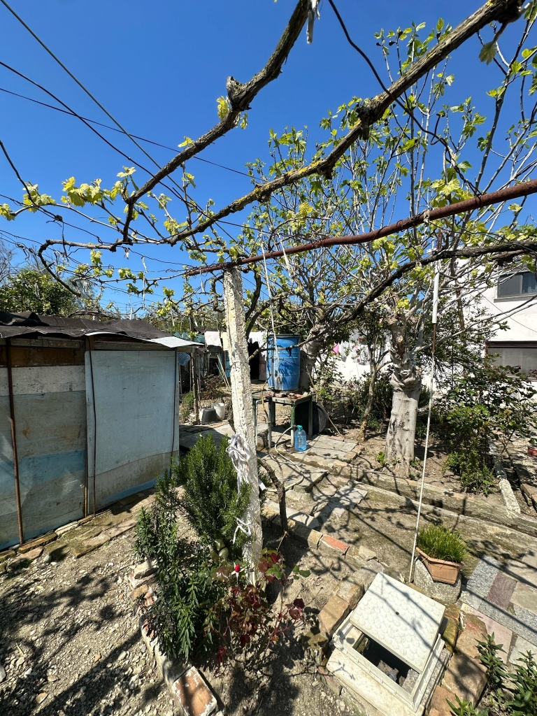 SHITET SHTEPI PRIVATE + TRUALL , SPITALL, DURRES.