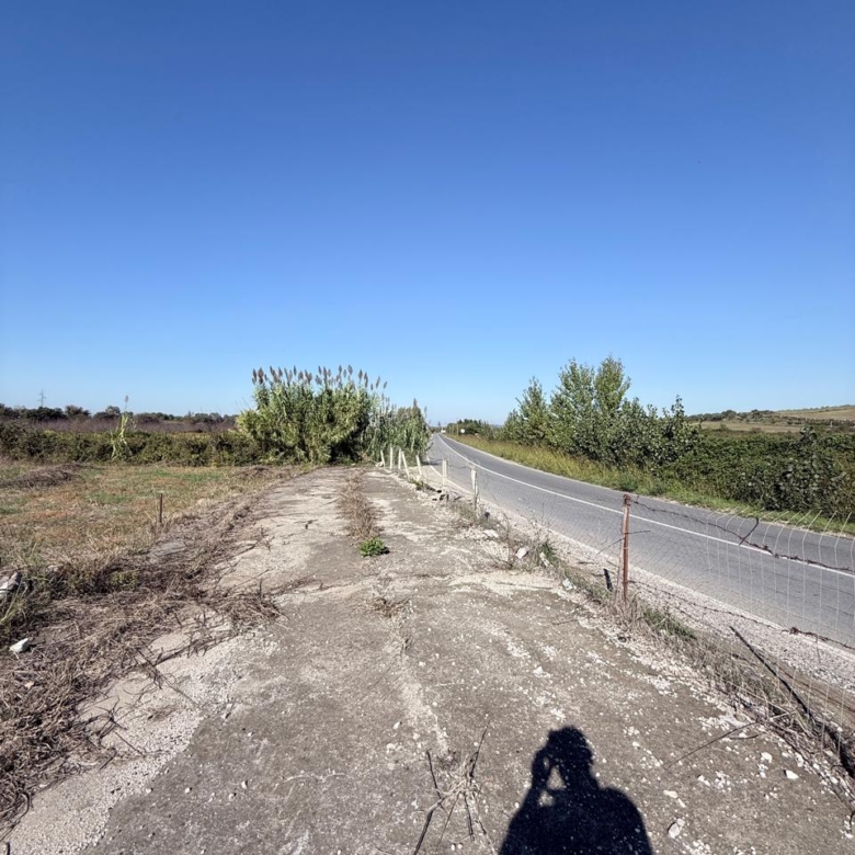 SHITET TOKE GJIRI LALEZIT VIJA PARE ME RRUGEN