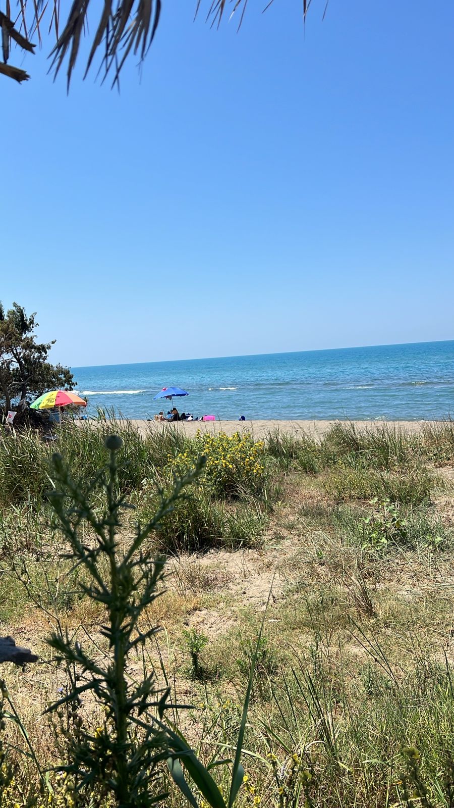 13740f33-ad62-4b76-be88-6c8d6beb1ac1