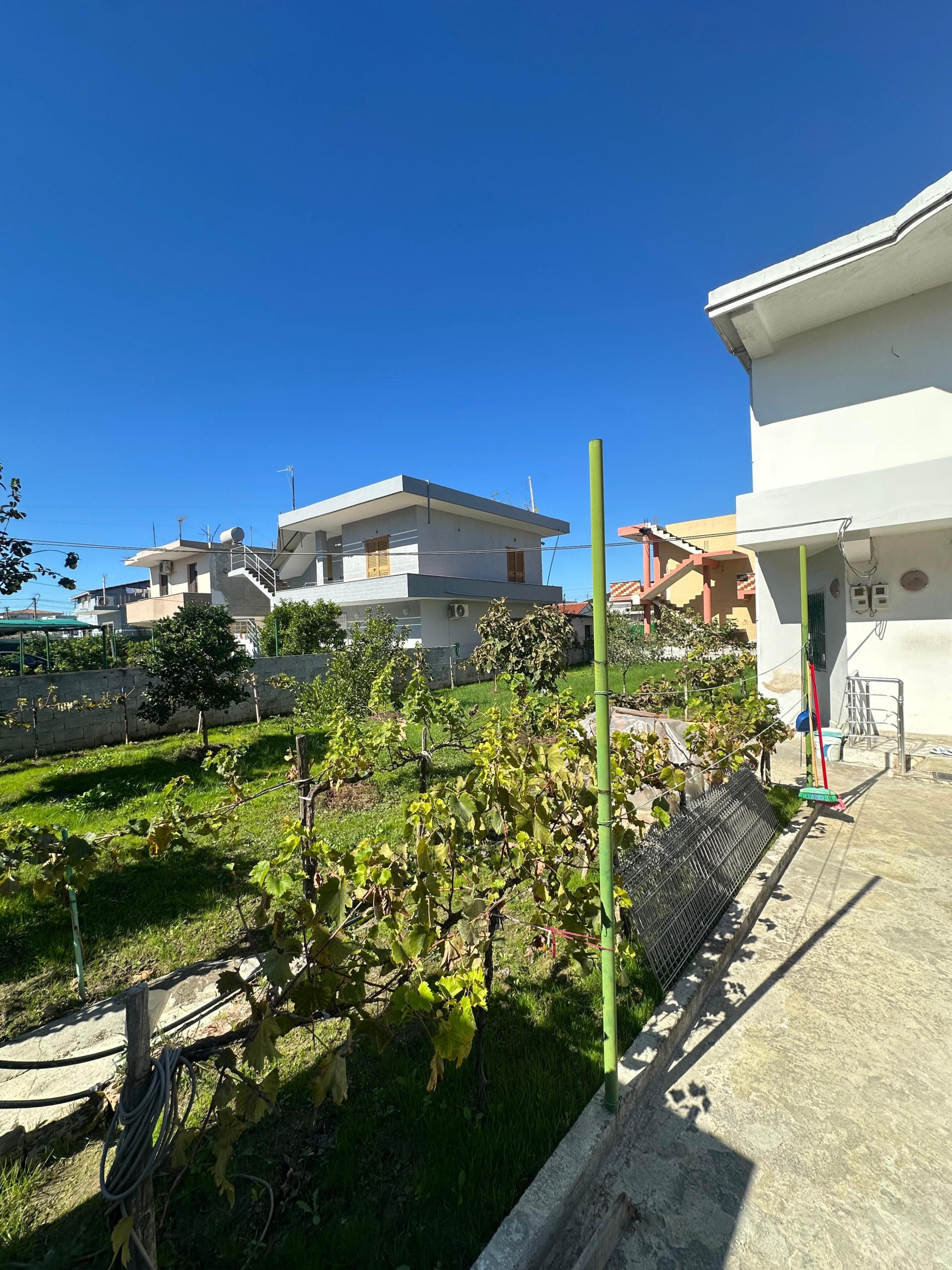 5d200144-074c-44a7-889b-fccf858001b0