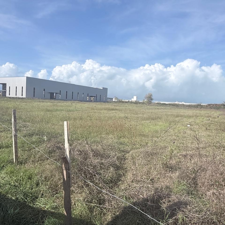 SHITET TOKE XHAVZOTAJ DURRES