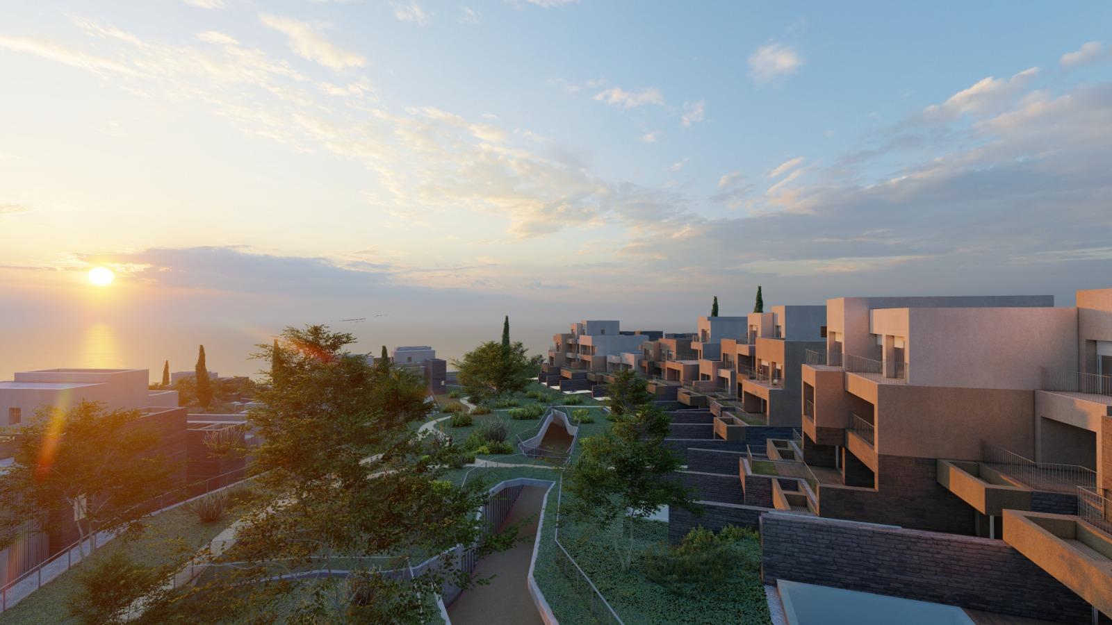 WhatsApp Image 2026-02-13 at 11.43.18(1)