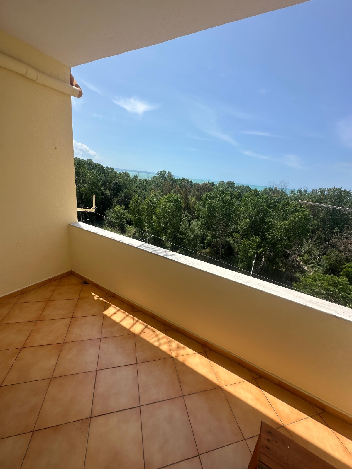 WhatsApp Image 2026-02-16 at 12.56.44