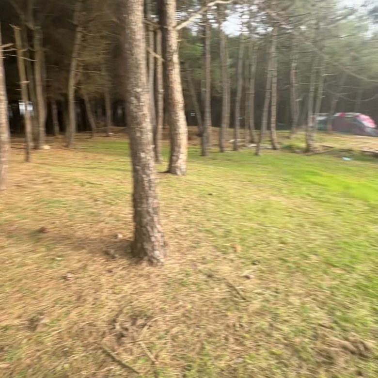 SHITET TOKE VIJE E PARE SPILLE, KAVAJE thumbnail 2