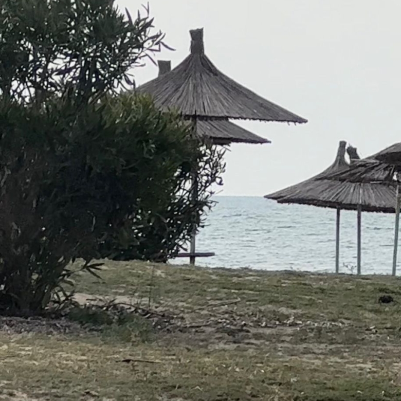 SHITET TOKE VIJE E PARE SPILLE, KAVAJE