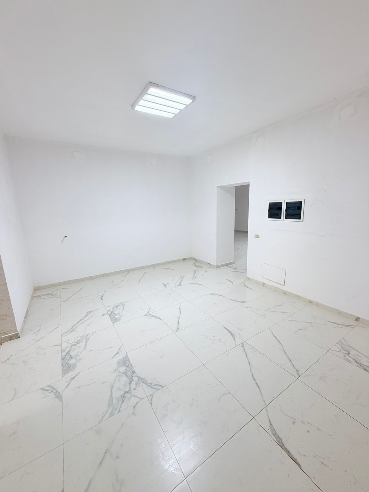 46b8206d-b422-4d74-a89f-bc3458f98a7e