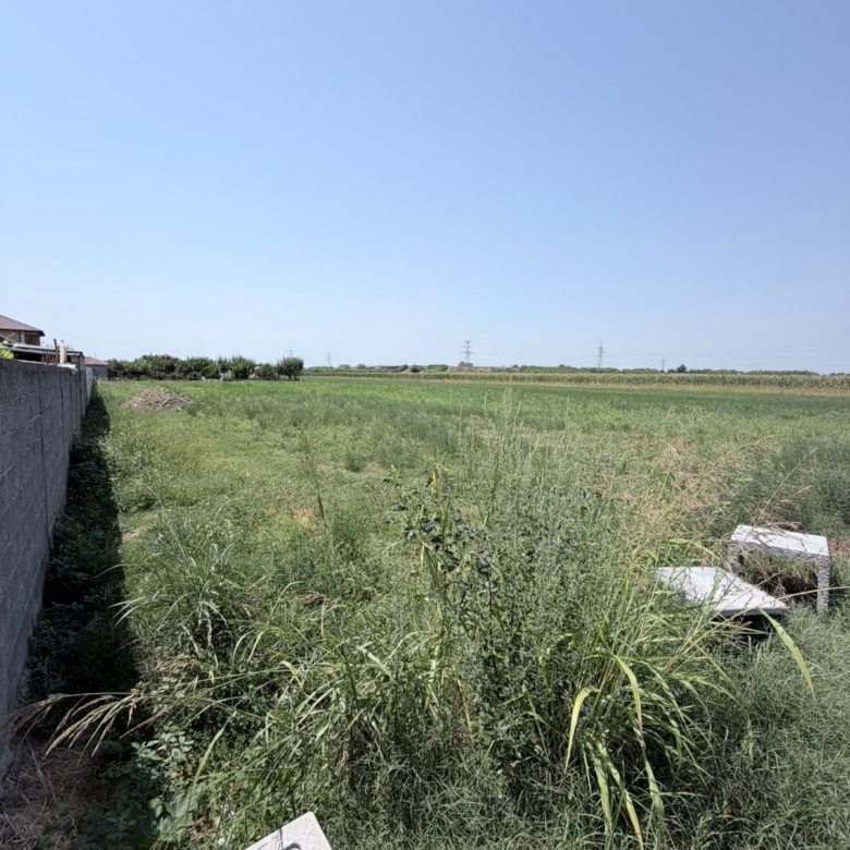 SHITET TOKE PRANE RESTORANT FLAMENGO NE ZONEN E SHIJAKUT, DURRES